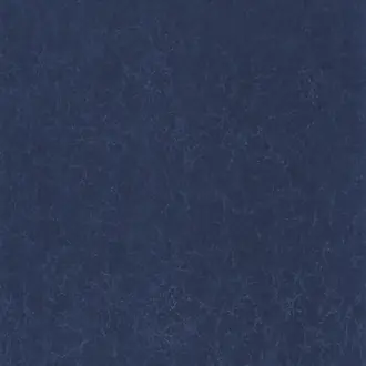 Oxford Lewis 84076534