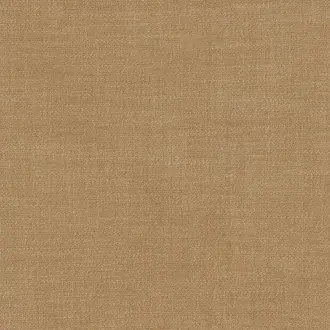 Kauri 36182369