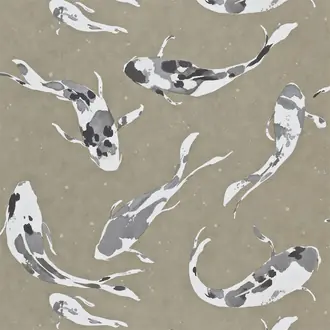 Koi HMOW110900