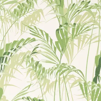 Palm House 216643