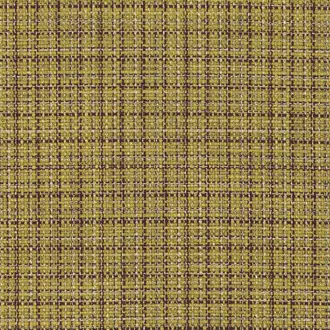 Check Fern K5246-01