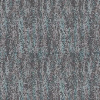 Cedar Sky