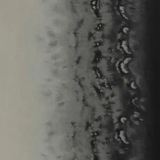 Disperse W0149-03