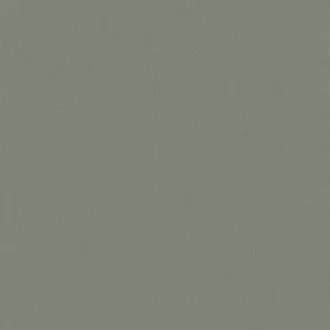 Papyrus 17361-017