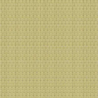 Floopy LCT-1099-005