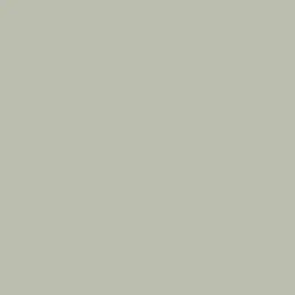 Sage Grey 58 Paint