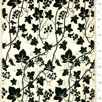 Ivy 1013-001