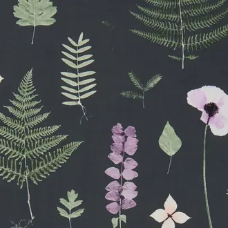 Herbarium F1089-03
