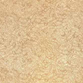 Shiri Copper