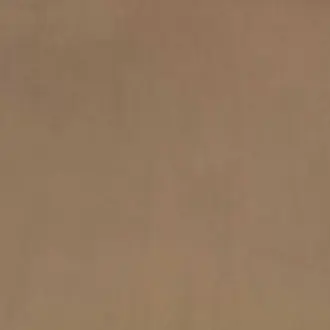 Z Suede Mole