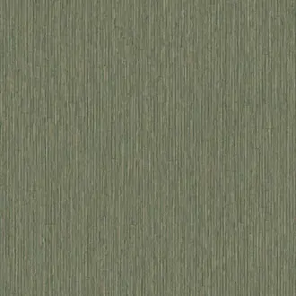 Anam 350950