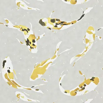Koi HMOW110901