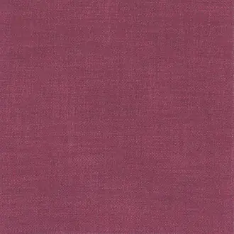 Kauri 36182866