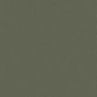 Papyrus 17361-018