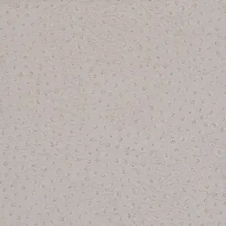 Vinyl Ostrich Champagne 8112
