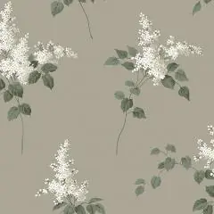 Lilacs 7667