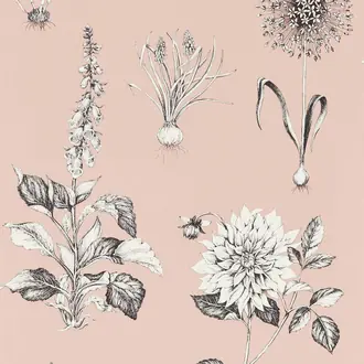 Roseraie W0197-01