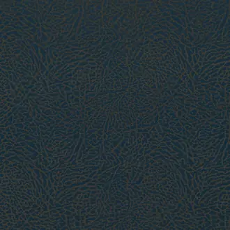 Ecume 13524-16