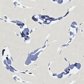Koi HMOW110902