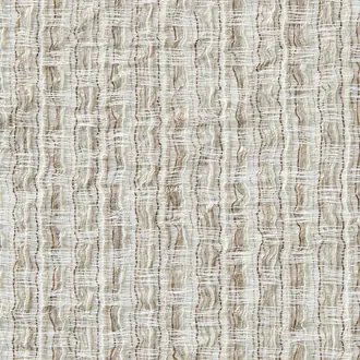 Agave 10862883
