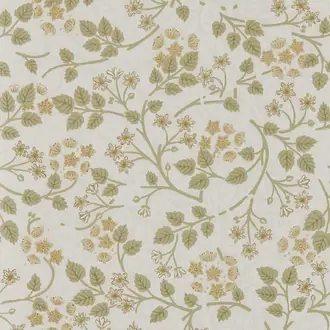 Silver Lime 217515