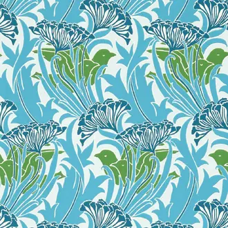 Laceflower 217355