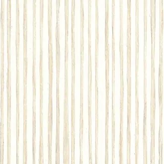 Zebra Grass 10362