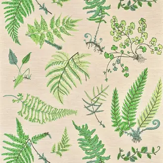 Botanique FP084002