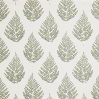 Frond Olive
