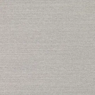 Blakes Silver Grey Z586-04
