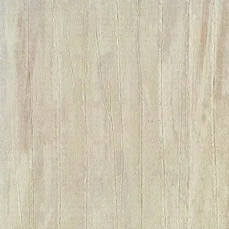 Cortex ML01419