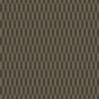 Polka FER002