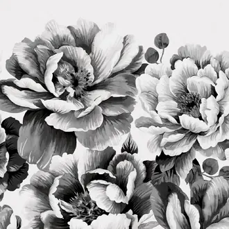 Perfect Peonies 10169