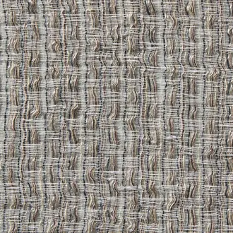 Agave 10862895