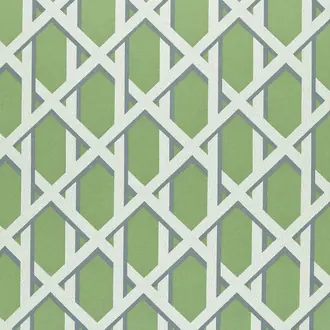 Lattice Kiwi