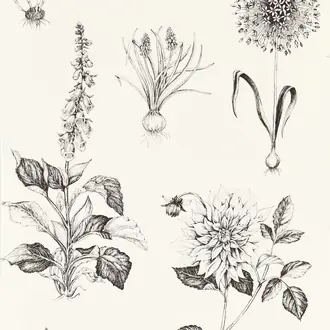 Roseraie W0197-02