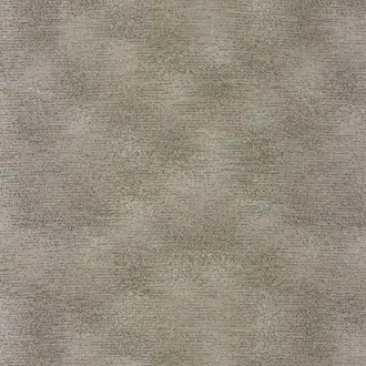 Raggi 45290114