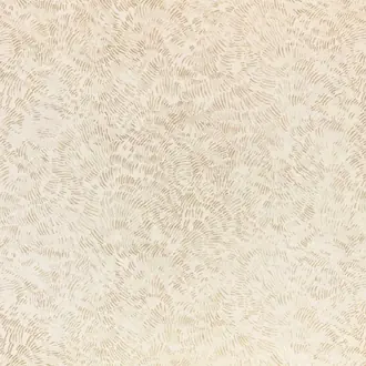 Shiri Shell