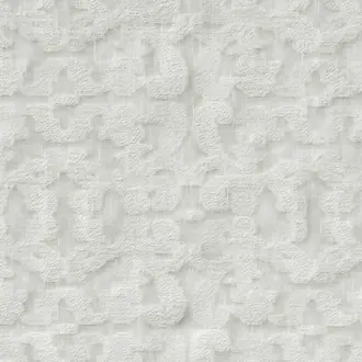 Jasmin de Grasse 19583884