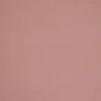 Arezzo Rose