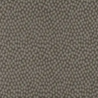 Serin Cardamon 7590-04
