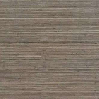 Coiba RM 110 87