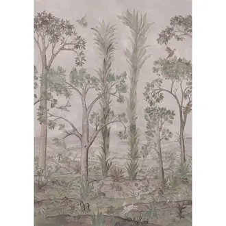 Tall Trees BW45141-1