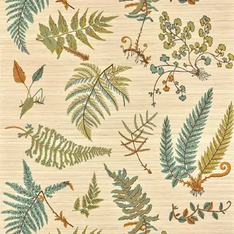 Botanique FP084001