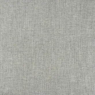 Salem Grey