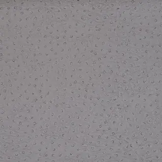 Vinyl Ostrich Gris 8119