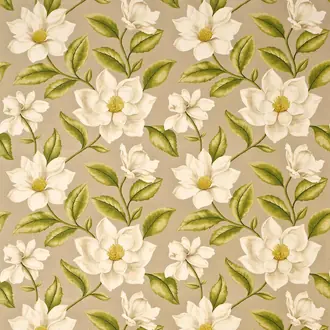 Grandiflora DAPGGR204