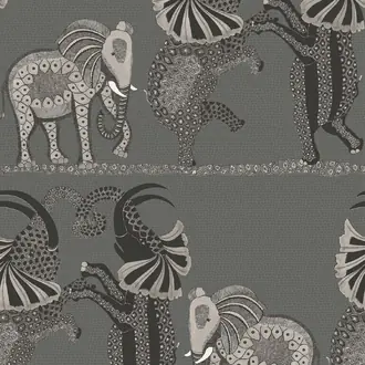 Safari Dance 109-8039