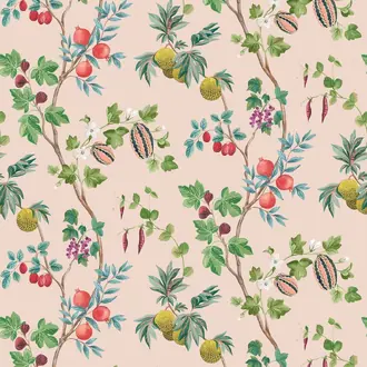 Orchard W7686-04