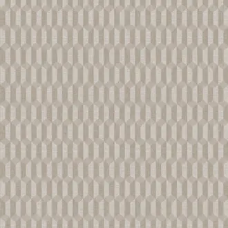 Polka FER004